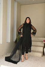 Black embroidered organza