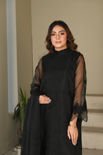 Black embroidered organza