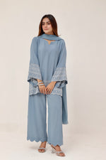 3 piece Powder blue embroidered suit